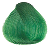 38 Полуперманентный прямой краситель Color Splash Зеленый, 100 мл - salonak.ru - Екатеринбург
