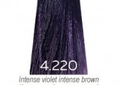 Краска для волос  Luxor Graffito Professional 4.220 коричневый интенс фиолет интенсив 100 мл - salonak.ru - Екатеринбург